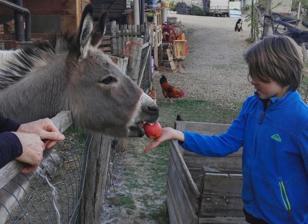 Kerschbamerhof Im Sueden Suedtirols Cortaccia Eksteriør bilde